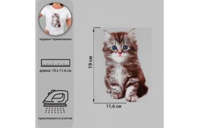 7339262 термотрансфер котёнок 11,6*19см, упак/1шт бс купить по 89 - в интернет - магазине Веллтекс | Новокузнецк
.